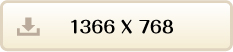 1366x768