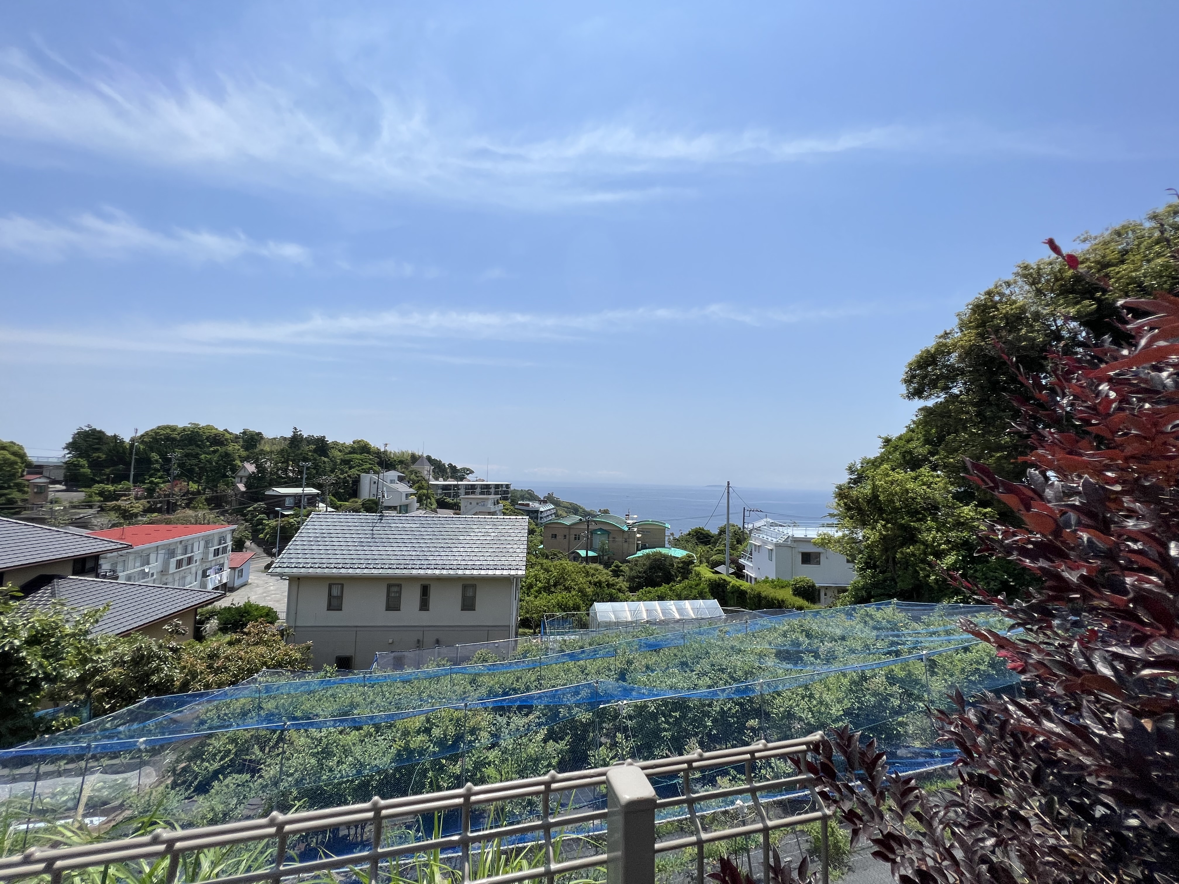  真鶴上釈迦堂