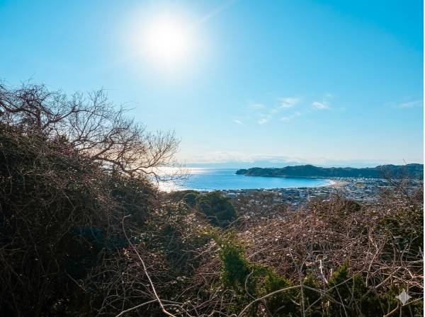 神奈川県鎌倉市材木座４丁目の土地