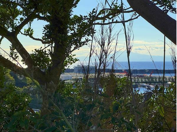 神奈川県三浦市海外町の土地