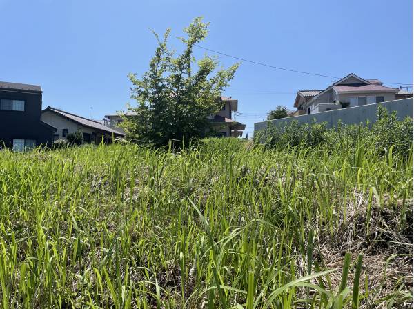 神奈川県中郡大磯町国府新宿の土地