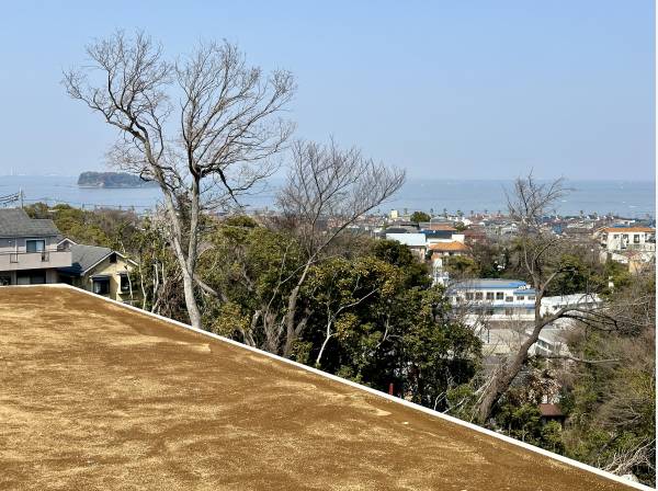 神奈川県横須賀市桜が丘１丁目の土地