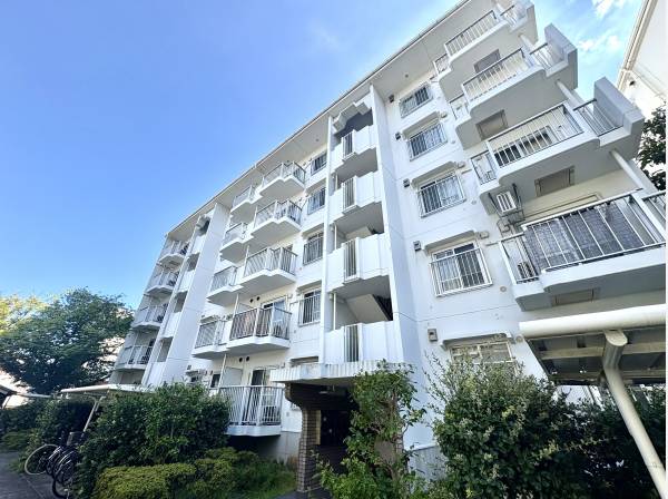 神奈川県藤沢市辻堂新町３丁目のマンション