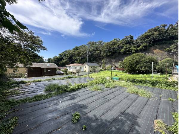 青空に鎌倉の豊かな緑が自然体で居心地の良い土地です。