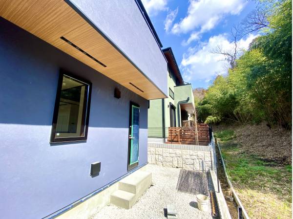 庭先に広がる美しい竹林風景