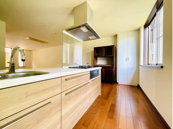 神奈川県鎌倉市稲村ガ崎4丁目 / 中古戸建 / 2億5,000万円【東宝ハウス  