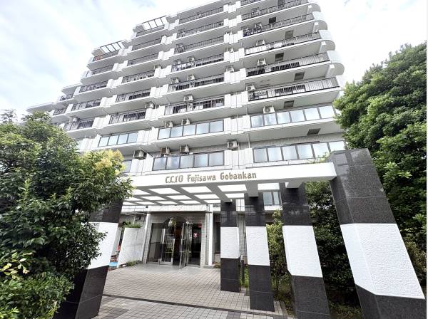 神奈川県藤沢市城南３丁目のマンション