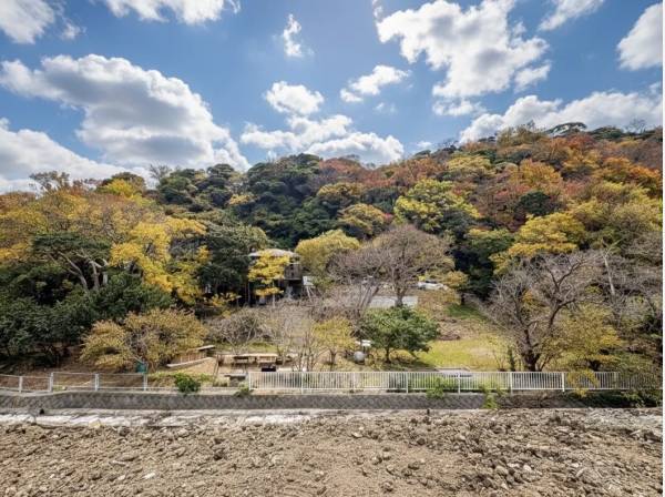 神奈川県三浦郡葉山町下山口の土地