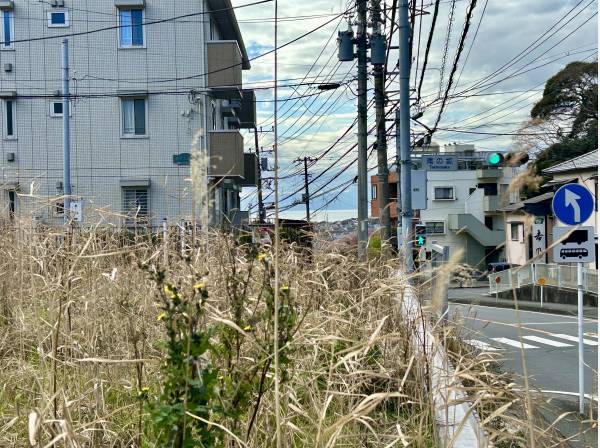 神奈川県三浦郡葉山町一色の土地