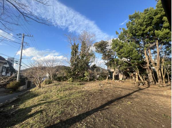 緑たっぷりな現地！