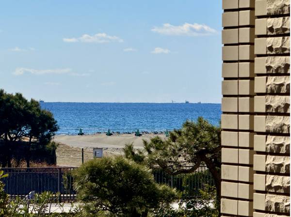 神奈川県藤沢市鵠沼海岸２丁目のマンション