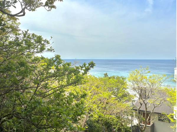 神奈川県三浦郡葉山町下山口の土地