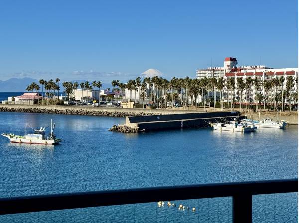 神奈川県逗子市小坪４丁目のマンション