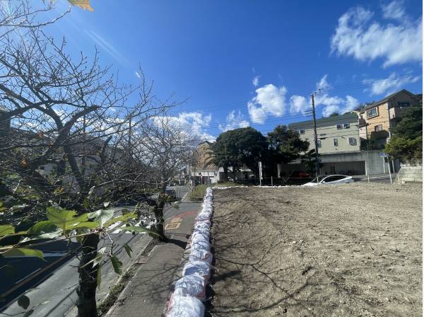 桜並木に面した現地