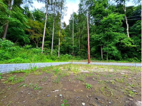土地面積約139㎡（約42,04坪）の自然溢れる土地！