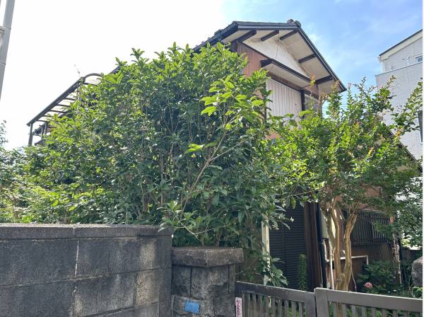 建築条件なし