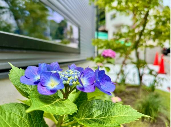 神奈川県鎌倉市極楽寺１丁目の新築戸建
