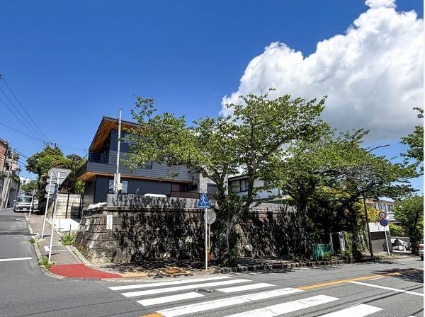 春は桜を独り占め！東側の桜並木が、自宅からのお花見を叶えます。