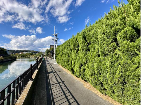 神奈川県逗子市逗子６丁目の中古戸建