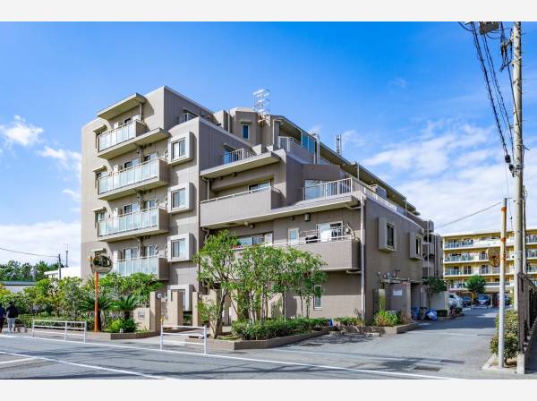 神奈川県藤沢市辻堂西海岸３丁目のマンション