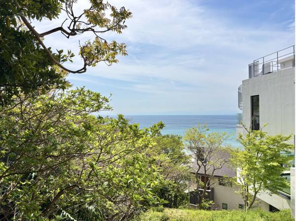 神奈川県三浦郡葉山町下山口の土地