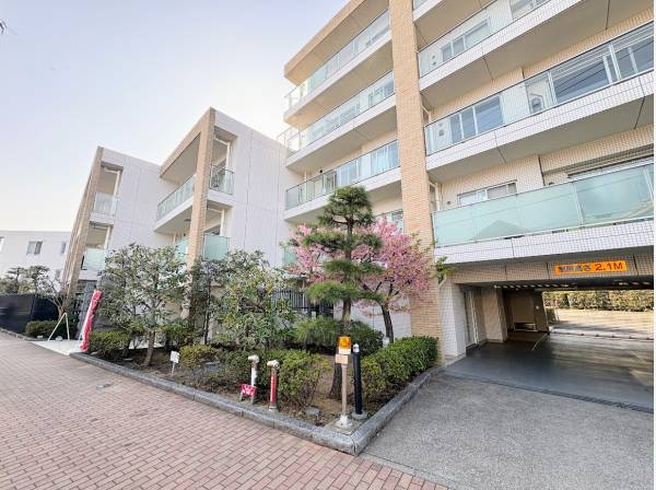 神奈川県藤沢市鵠沼桜が岡３丁目のマンション