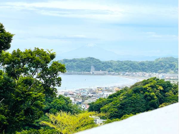 美しい緑と海、その先に望む富士山。