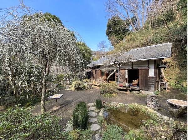 敷地の中央から平屋の店舗を見ています