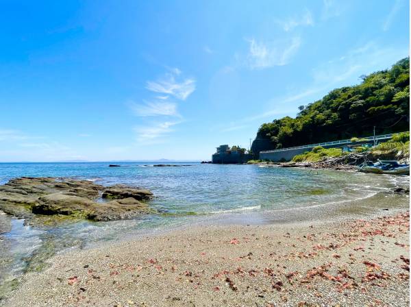 神奈川県三浦市南下浦町金田の土地