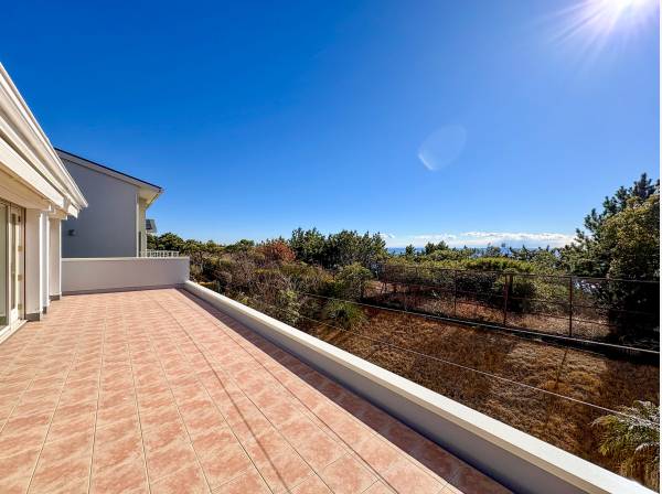 神奈川県中郡大磯町西小磯の中古戸建