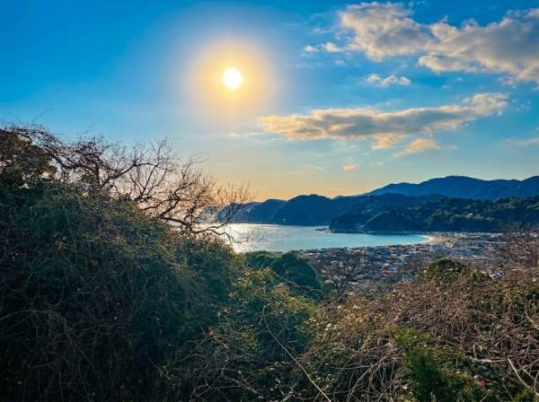 神奈川県鎌倉市材木座４丁目の土地