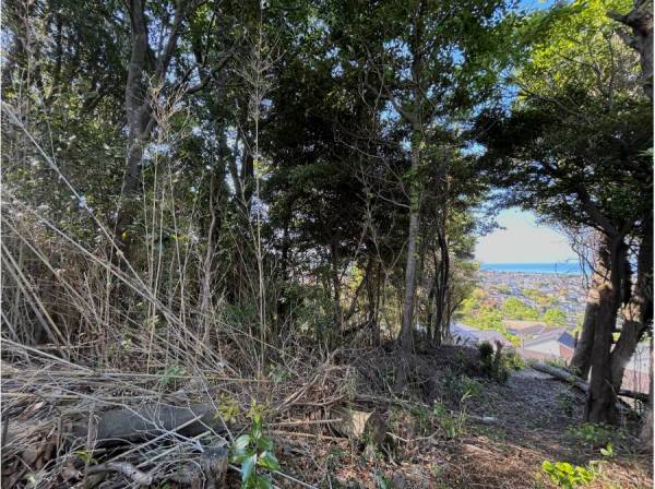 神奈川県三浦郡葉山町一色の土地