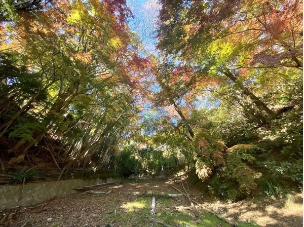 神奈川県中郡大磯町東小磯の土地