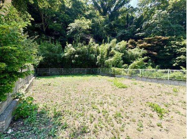 約54坪の緑豊かな土地