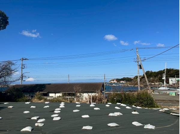 神奈川県三浦市海外町の土地