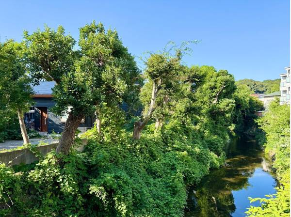神奈川県鎌倉市小町１丁目の中古戸建