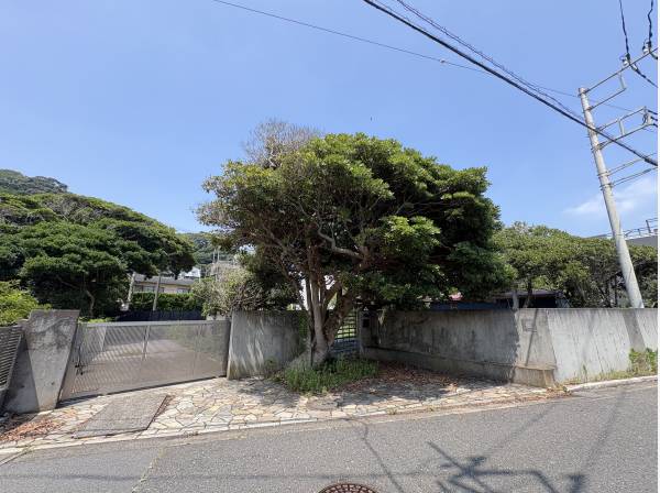 神奈川県鎌倉市稲村ガ崎３丁目の土地