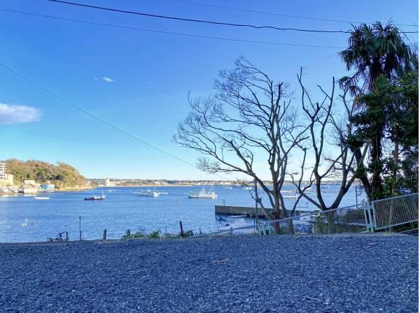 地面高さからでも小田和湾を望むオーシャンビュー立地です