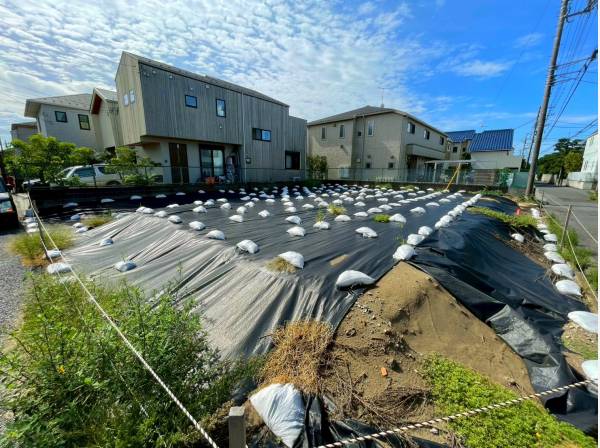 神奈川県藤沢市鵠沼松が岡３丁目の土地