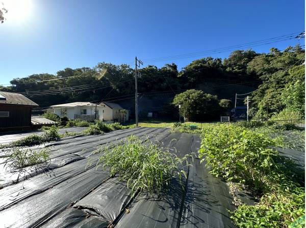 自然豊かな分譲地/全3区画での販売です