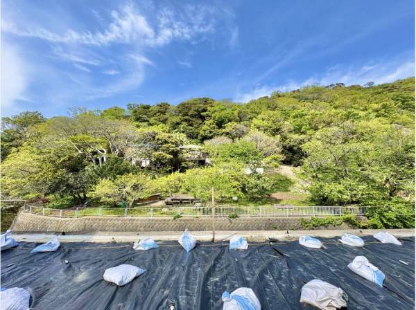 神奈川県三浦郡葉山町下山口の土地
