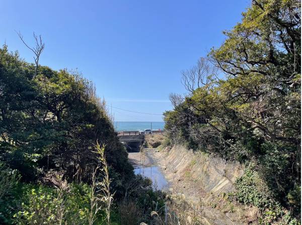 神奈川県鎌倉市稲村ガ崎３丁目の土地