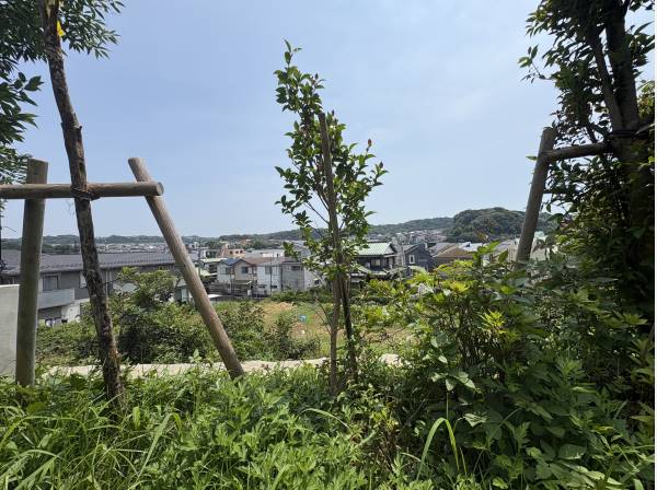 敷地内からの眺望