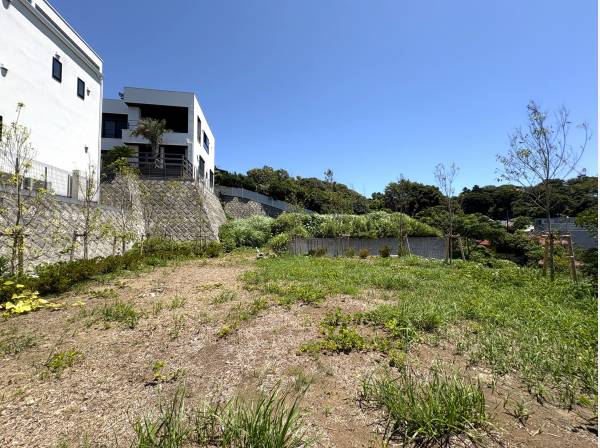 贅沢な広さ、なんと約99.8坪！建築条件はございません！