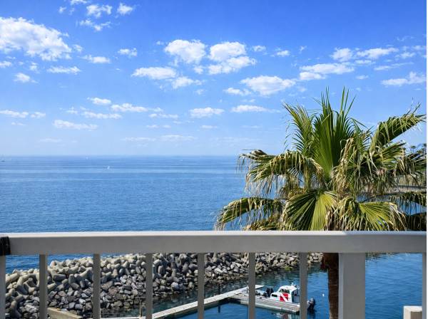 神奈川県逗子市小坪４丁目のマンション