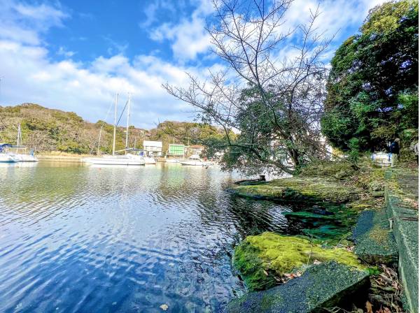 神奈川県三浦市三崎町小網代の土地