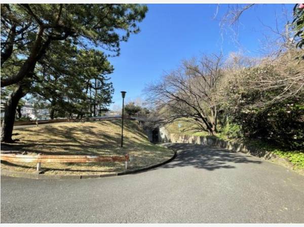 神奈川県鎌倉市津西２丁目の土地