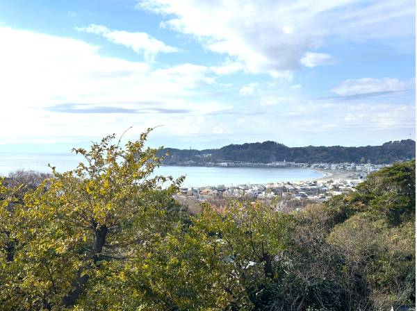 神奈川県鎌倉市材木座４丁目の土地