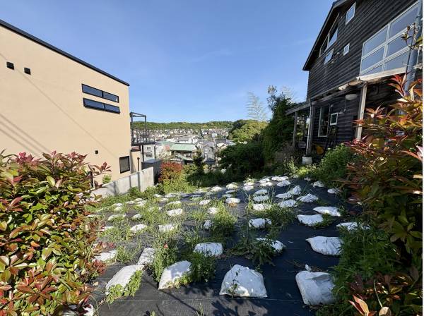 神奈川県鎌倉市津西１丁目の土地