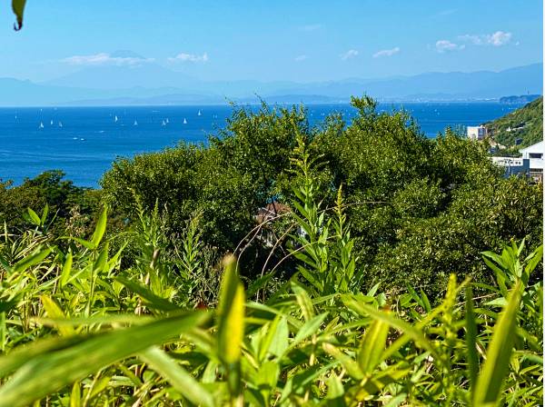 神奈川県横須賀市秋谷の土地